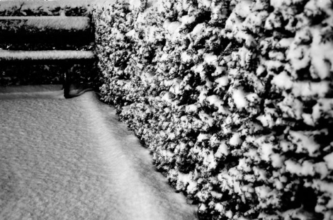 Slip & Fall Case: Snow Removal