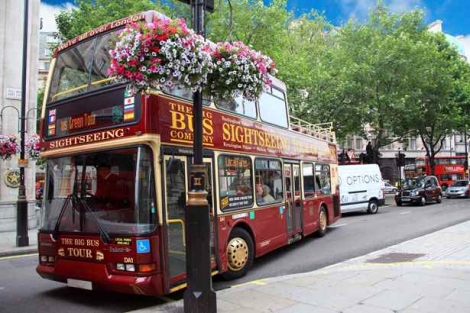 Bus Accident Lawyer Case