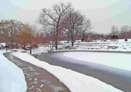 Falls on Ice and the Law